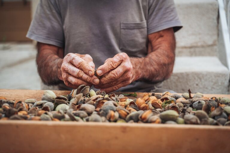 L’uomo delle mandorle