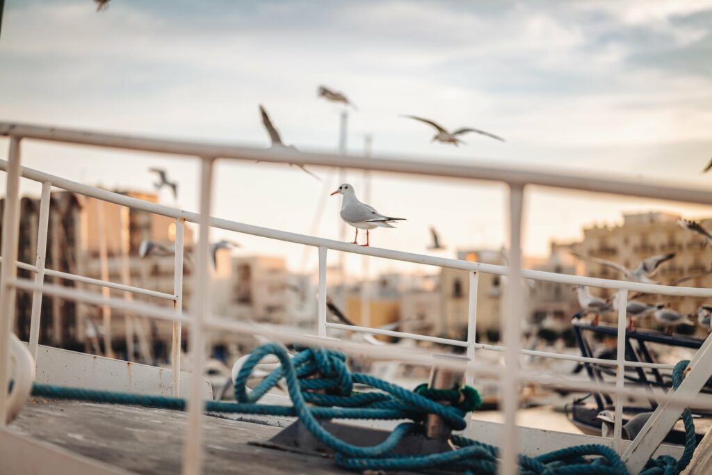 Mola di Bari, Italy - January 2023: local life scene by the fish market and the main harbor