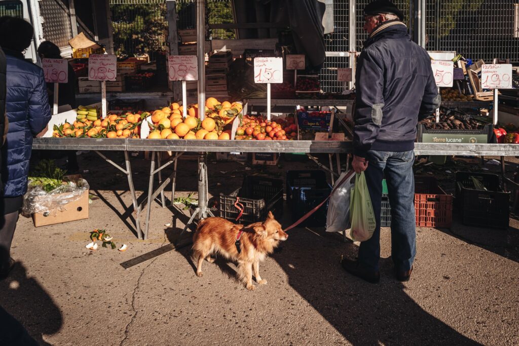 Mola di Bari, Italy - December 2022: scenes from the local farmers market