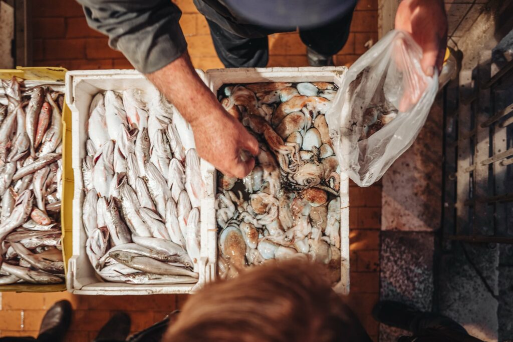 Mola di Bari, Italy - December 2022: local life scene by the fish market and the main harbor
