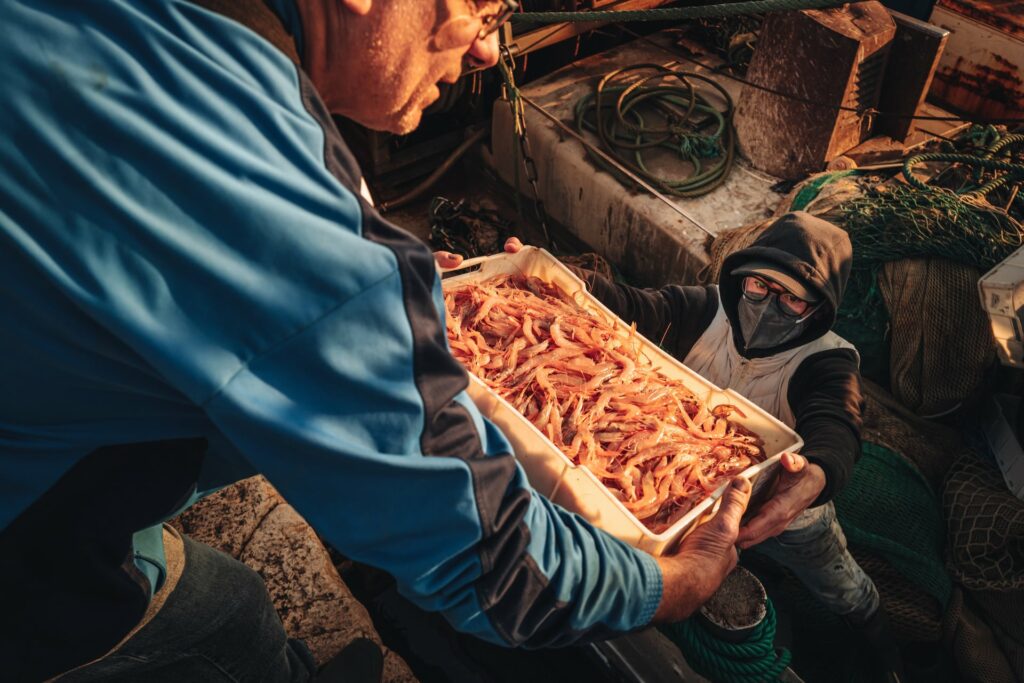 Mola di Bari, Italy - January 2023: local life scene by the fish market and the main harbor