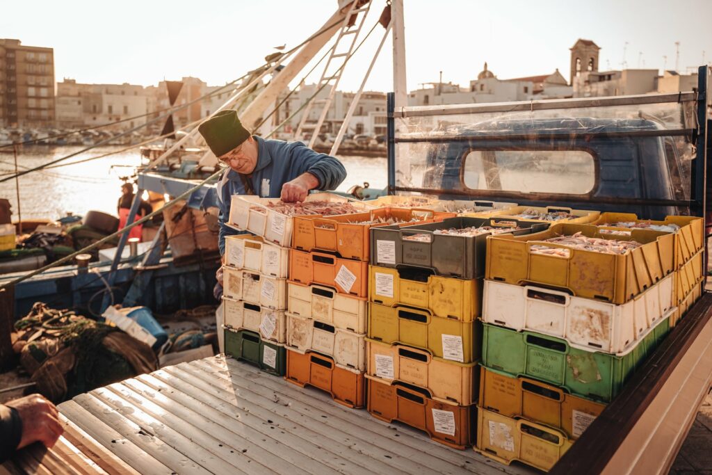 Mola di Bari, Italy - January 2023: local life scene by the fish market and the main harbor