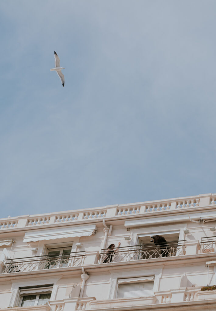 Hidden Cannes: Tales from the Edge of the Festival”