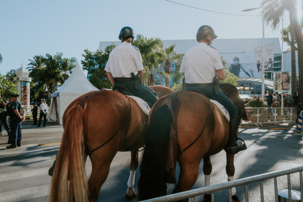 Hidden Cannes: Tales from the Edge of the Festival”